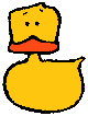 Find the Duck